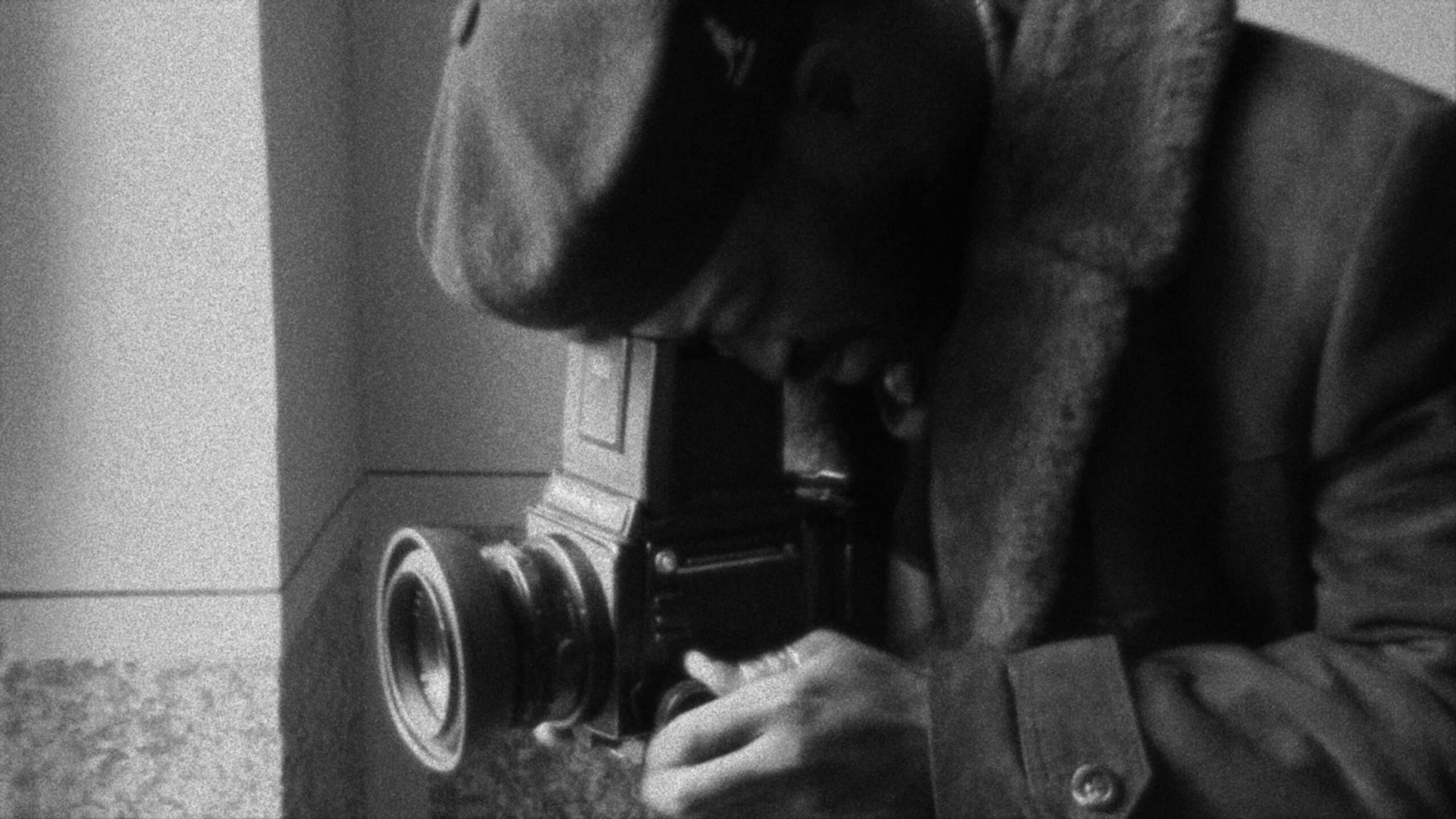 vlcsnap-2026-01-29-10h21m35s969