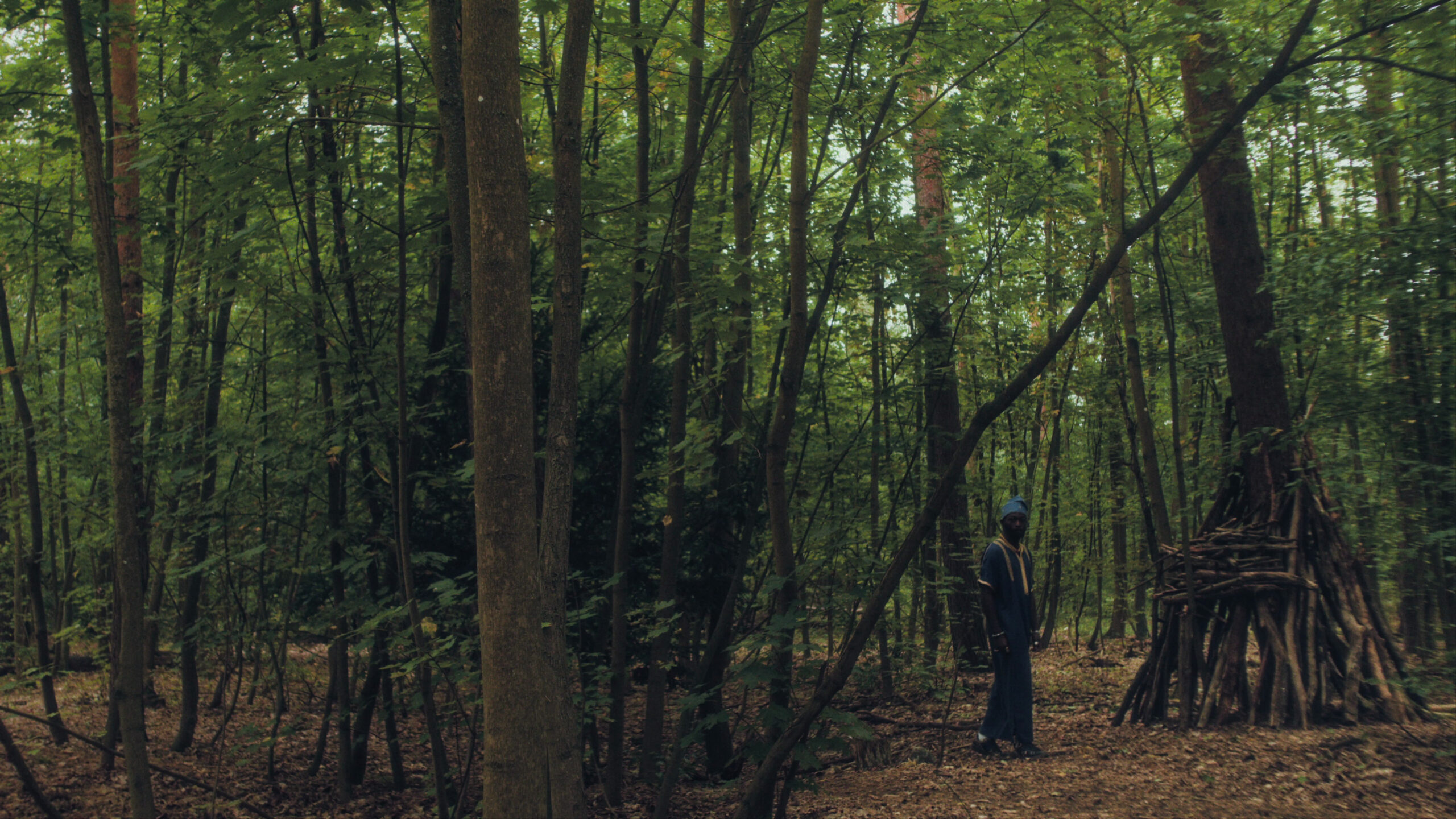 vlcsnap-2026-01-29-10h24m22s110